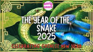 THE YEAR OF THE WOOD SNAKE | with NARRATION | WHOLE SCHOOL ASSEMBLY 2025 CHINESE NEW YEAR
