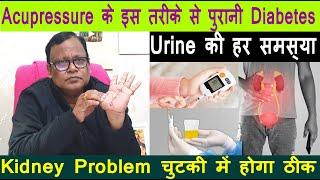 Acupressure के इस माध्यम से पुरानी Diabetes//Urine की हर समस्या//Kidney Problem चुटकी में होगा ठीक |