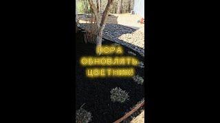 Пора обновлять цветник! Вот как мы это сделали!  shorts #ландшафтныйдизайн #дом #дача #цветы