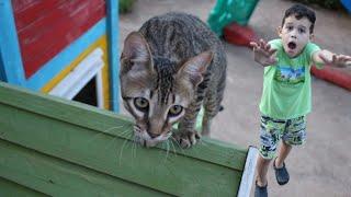 LUCAS vai a procura do SEU GATO GARY