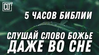 Отдых после трудного дня для души и духа | Звуки природы | 5 часов Библии вечером #Библия #Relaxing