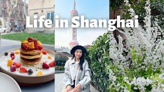 Lujiazui & Let's Talk about Tax | Fancie in Shanghai Ep.13