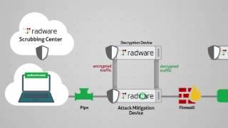 SSL Attacks & TLS Attacks: DDoS Mitigation Solutions - Radware