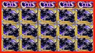 JACKPOT HANDPAY$300 BETSCATS HIGH LIMIT SLOT MACHINE BUENO DINERO MUSEUM SLOTS IGT