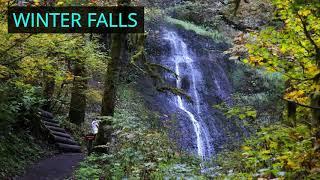 Fall color comes to Silver Falls State Park