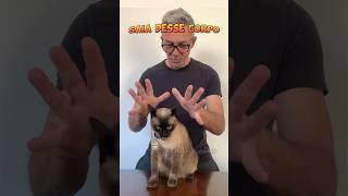 AMÉM!  #gatalunacatarina #comedia #gatos