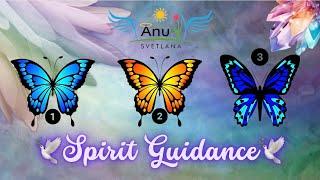 Spirit Guidance!!Tarot Reading#tarot #tarotreading