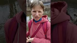 Здесь был бобёр