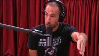 Working the 9-5 Rat Race | Joe Rogan