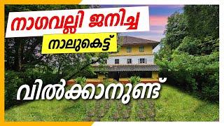 For Sale: Traditional Kerala Nalukettu | Experience the charm of old-world Kerala architecture!