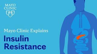 Mayo Clinic Explains Insulin Resistance