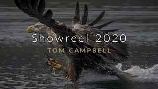 Natural History Showreel 2020  - Tom Campbell