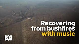 Taking bushfire recovery into their own hands  | Australia to Me | ABC Australia