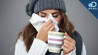 Do We Actually Get Sick More in Winter?