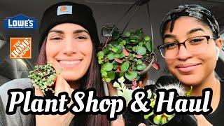 PLANT SHOPPING & HAUL || Houseplant Retail Therapy at Big Box Stores + Local Nurseries