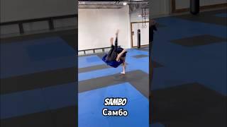 Sambo Takedown