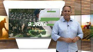 Programa Maranhão Rural - 06-10-24 - COMPLETO