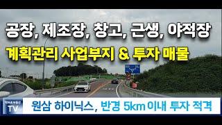 [사업부지 급매] 계획관리지역 / 용인 원삼하이닉스 반도체 반경 4Km, 6미터 포장도로 100미터 이상 접한 토지, 면적 약 1만㎡  평당 130만원