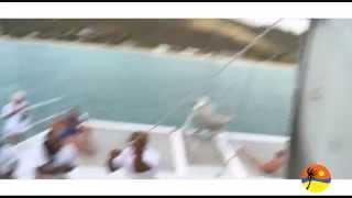 Tropical Adventures - Mystic Catamaran Cruises Antigua