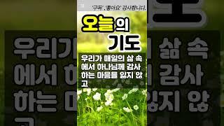 오늘의 기도 / 은혜의기도 / 감사의기도 #오늘의기도 #매일기도#은혜의기도#감사의기도