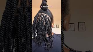 Mini Twists on Natural Hair #4chair #4cnaturalhair