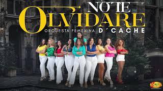 Orquesta Femenina D'Caché -   No te olvidare  (Audio Oficial)