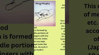 Mrig Mudra - Discovering Serenity: The Essence of Mrig Mudra  83383843 #astroshastra #mudra