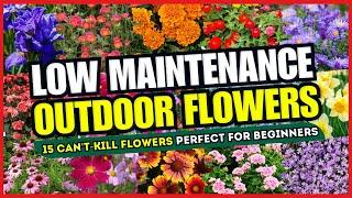  Top 15 Can't-Kill Flowers Perfect for BEGINNERS  LOW MAINTENANCE Flowers Outdoor! 