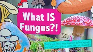 Home Ed: Mycology 1: What IS Fungus?!