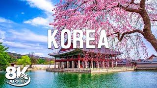 Wonders of Korea  The Famous Places in Korea ️ Travel Video 8K Ultra HD