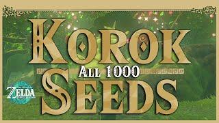 All 1000 Korok Seeds • Zelda Tears of the Kingdom TOTK