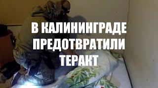 В Калининградской области предотвратили теракт на объекте энергетики