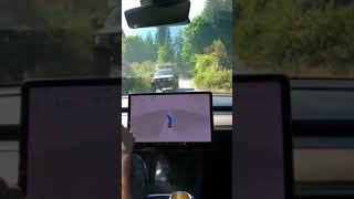 #Tesla drives me deep into the forest  #FSD #AI #autonomy #fullselfdriving