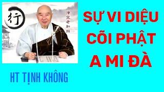 SỰ VI DIỆU THÙ THẮNG NƠI CÕI CỰC LẠC PHẬT A MI ĐÀ. HT TỊNH KHÔNG