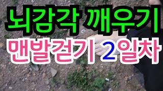 미용실일상 _뇌감각 깨우기 맨발걷기 2일차/상추밭에서 어씽해요 가슴이 답답할때 시원하게 해주는 최고의 방법/맨발로 자연을 만나세요