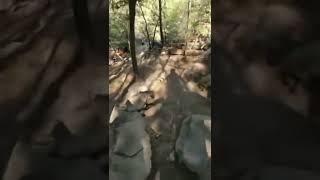 Downhill Mtb Girl Hugs Rock