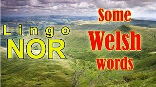 One Minute Linguistics with LingoNor - Some Welsh words