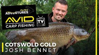 Cotswold Gold | Avid Adventures | Vol.12 | Avid Carp Fishing TV!