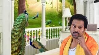 Pandian Stores Serial 3rd to 4th April 2025 - Promo