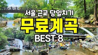 아이들도 놀기 좋은 올 여름 꼭 가봐야 할 서울 근교 당일치기 계곡 추천 BEST8 | 무료 주차 팁, 물놀이 포인트 추천 | 대중교통 국내 여행