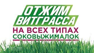 Отжим витграсса на всех типах шнековых соковыжималок