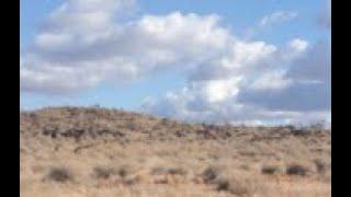 Land For Sale - 38.5 Acres, Off Grid in Navajo County