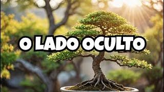  FILOSOFIA DO BONSAI – O LADO OCULTO da ARTE com Significado Profundo ️ #FilosofiaBonsai