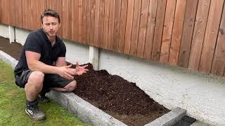 How to lay bark mulch the right way