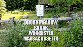 Broad Meadow Brook Conservation Center and Wildlife Sanctuary Worcester Massachusetts