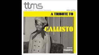 #176 - A Tribute To Callisto - mixed by Veloziped