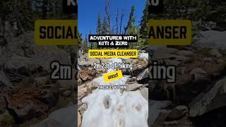 Adventures with Koti & Zero. 2m 23s seconds of hiking #SocialMediaCleanser #relaxingvideo #hikingdog