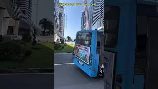 Автобус Ataman A092H6 по 7 маршруту, Батуми #батуми #бус #спб @SanktPetersburg22