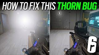 How to Fix this Thorn Bug - Operation Prep Phase - 6News - Tom Clancy's Rainbow Six Siege