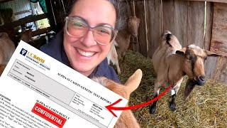 NOT What I Expected! Goat Genetic Casein Test:  Results ARE IN! | Vlogmas Day 13